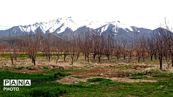 دیوزند؛ تابلوی زنده بهار در کردستان