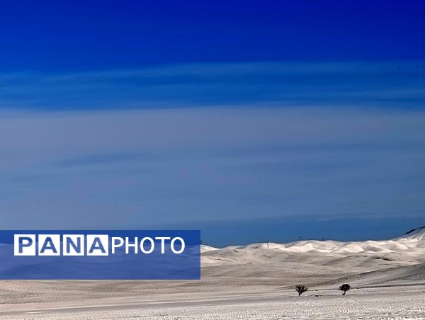 برف زمستانی مهمان شهرستان کیار شد