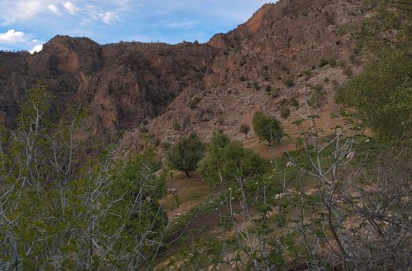 روستای شلیل نگین سرسبزی در دل کوه‌های میانکوه