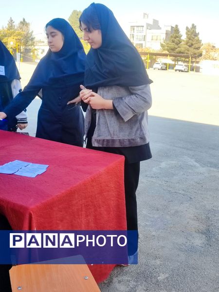 انتخابات شورای دانش‌آموزی در هنرستان مهدیزاده نیا