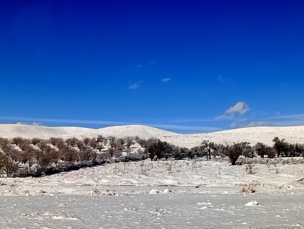 برف زمستانی مهمان شهرستان کیار شد