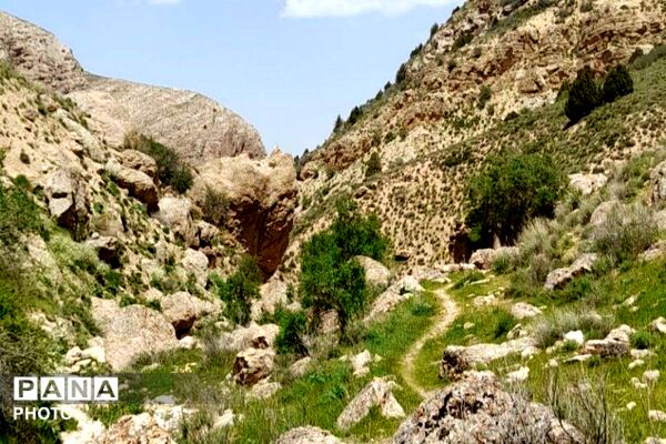 کوه های شهر بار ذخیره‌گاه گیاهان ارزشمند و کم نظیر دارویی 