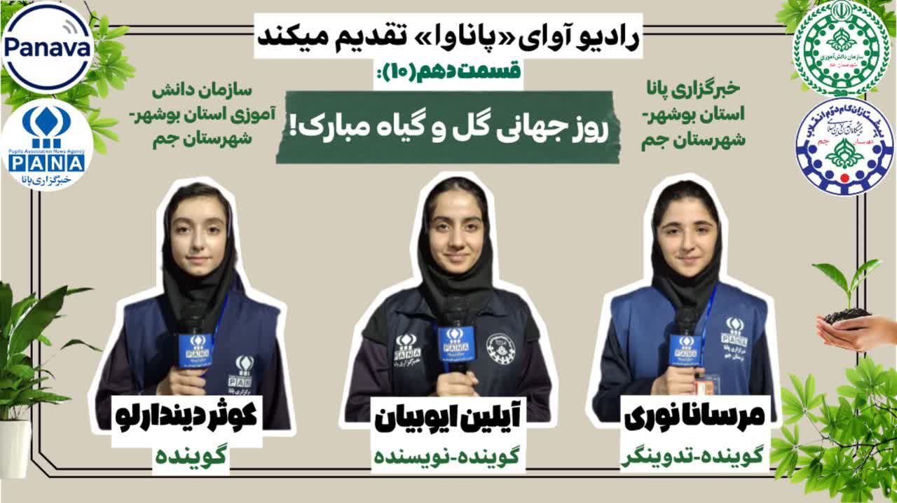 «زندگی در رنگ برگ‌ها»