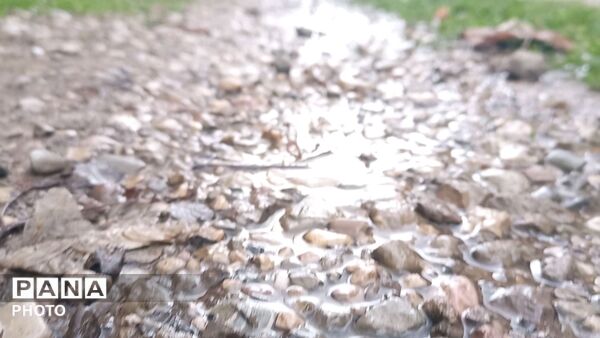 بارش باران بهاری در شهر بار