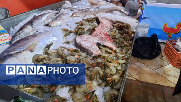 شور و نشاط مردم در چله بازارهای مشهد