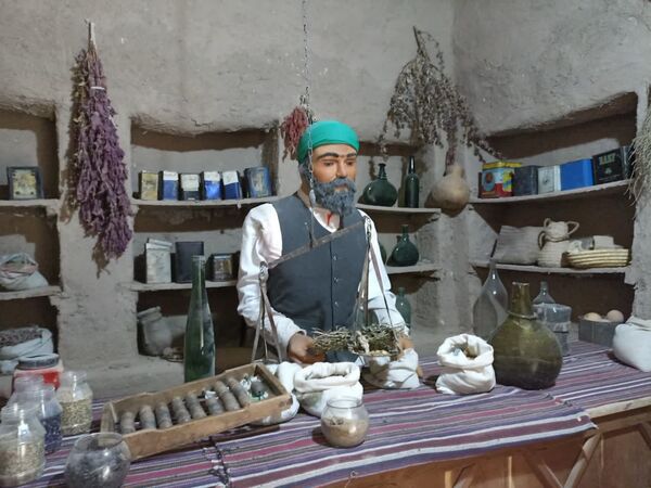  «باغ اکبریه» بیرجند
