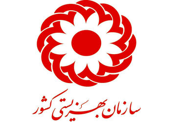 ۵۵ درصد جوانان مستقل شده از بهزیستی دارای شغل و ۴۹ درصد مستاجرند