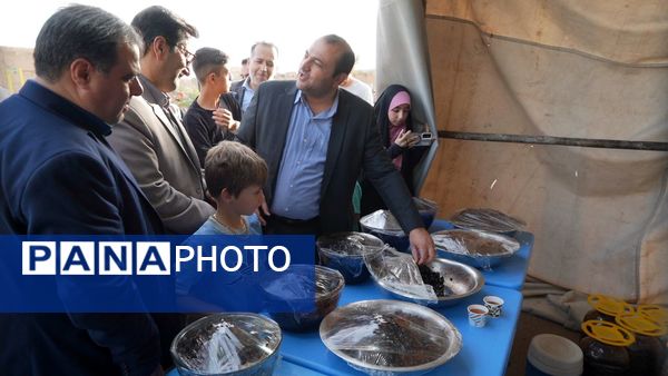 دا، جشنواره‌ای برای نمایش هم‌افزایی فرهنگ و ورزش در روستای کهک تاکستان