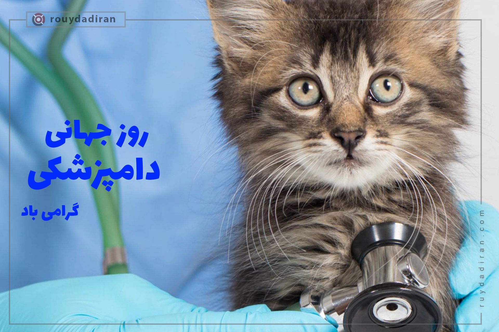 روز دامپزشکی به کمک به حیوانات خانگی و بیرونی در کنار معالجه دام‌ها می‌پردازد