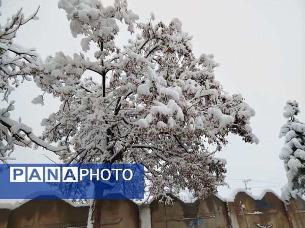 جلوه های زیبا از بارش برف در شهرستان نیشابور 