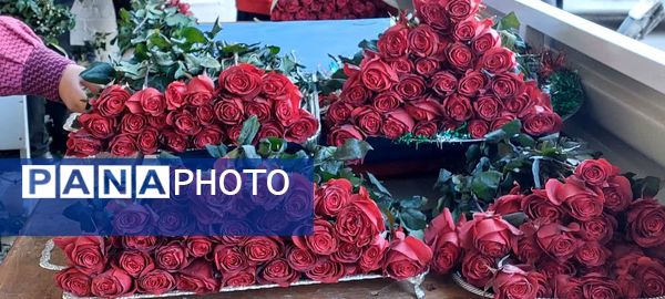 جشن ولادت حضرت علی (ع) و روز پدر در دبیرستان شاهد بحرینیان