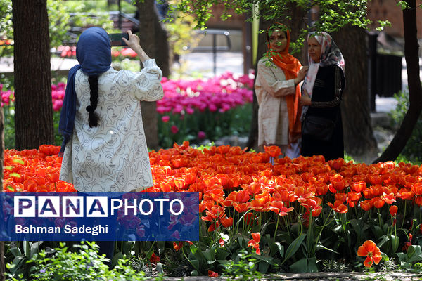 فصل لاله‌ها در بوستان باغ ایرانی