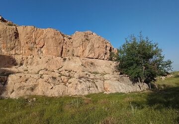 بَرم دِلَک