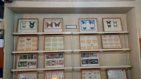 بازدید گروهی محور کشاورزی ، دامپروری ، شیلات از موسسه تحقیقات گیاه پزشکی کشور