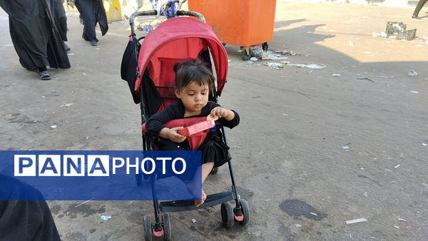 کودکان در پیاده‌روی نجف تا کربلا