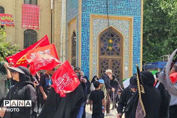 پیاده‌روی جاماندگان اربعین به سوی شاهچراغ (ع)
