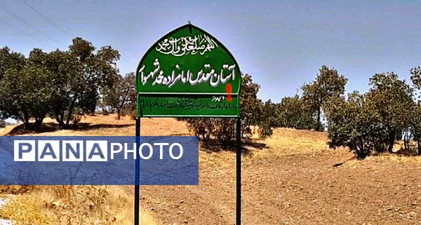 مراسم تشییع نمادین پیکر امام رضا (ع) در کاشمر