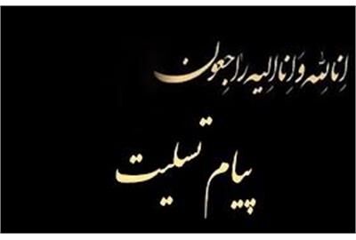 پیام تسلیت مسئول سازمان بسیج دانش‌آموزی در پی شهادت سرلشکر غلامرضا سلیمانی