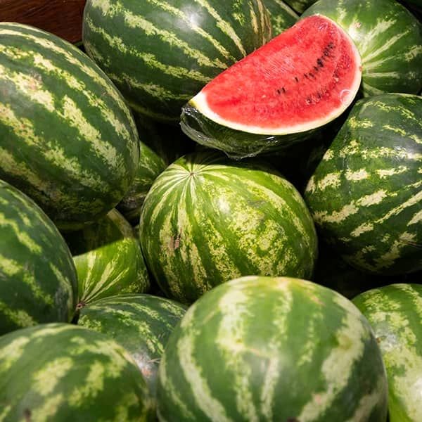 میانگین غلظت نیترات در هندوانه‌های  ایران کمتر از ۱۰ میلی‌گرم بر کیلو گرم است