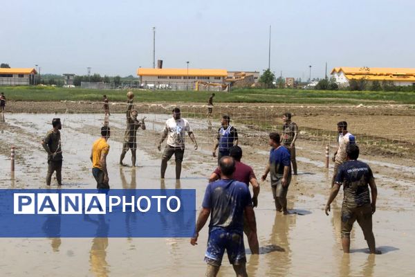 جشنواره فرهنگی و ورزشی بازی‌های شالیزاری در گلوگاه 