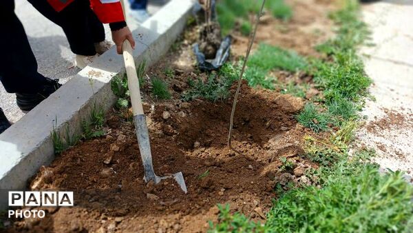 روییدن امید از خاک شهادت؛ نهال‌هایی به نام رهبر شهید و شهدای مدرسه میناب
