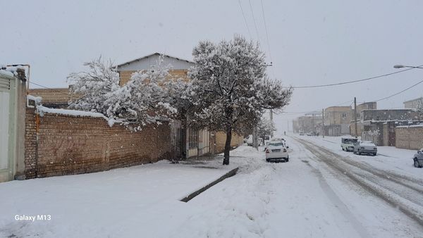 عروس فصل‌ها باری دیگر مهمان شهرستان بن