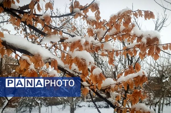 قلعه یزدان در قاب برفی زمستان