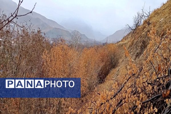 چهره شفاف و دل انگیز شهربارنیشابور با بارش  باران پاییزی  