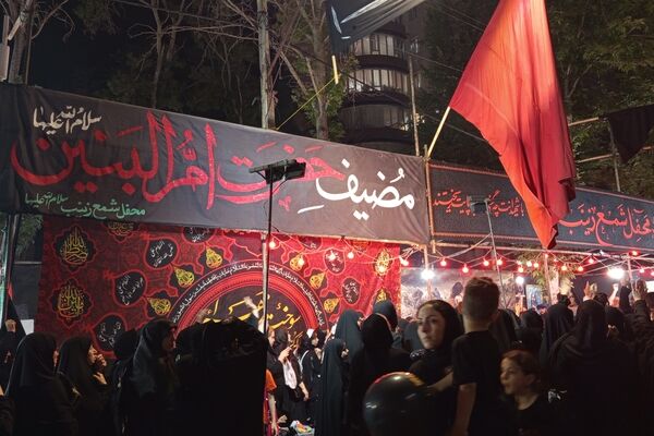 احلی من العسل؛ ندای شیرین وفاداری