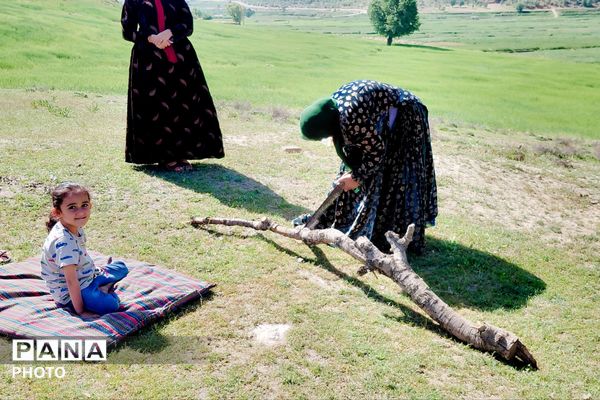 سرقلعه غرق در عطر رضوی 