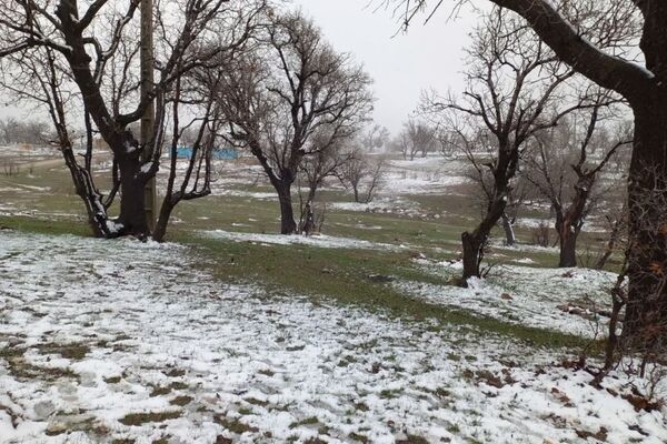 بارش برف بهاری در منطقه‌ بلوط‌بلند دزپارت