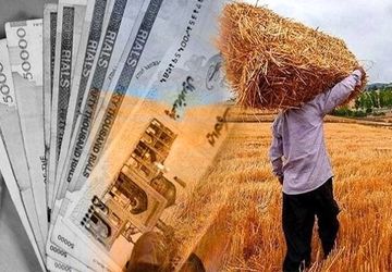 پرداخت کامل مطالبات گندم‌کاران ۲ ماه پس از تاکید رئیس قوه قضاییه