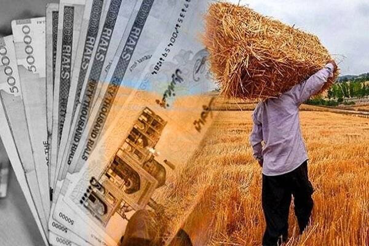 پرداخت کامل مطالبات گندم‌کاران ۲ ماه پس از تاکید رئیس قوه قضاییه