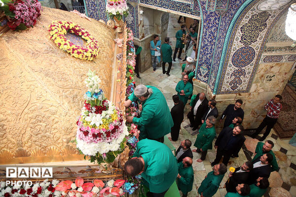 گل آرایی ضریح مطهر حضرت معصومه(س) در شب میلاد امام رضا(ع)