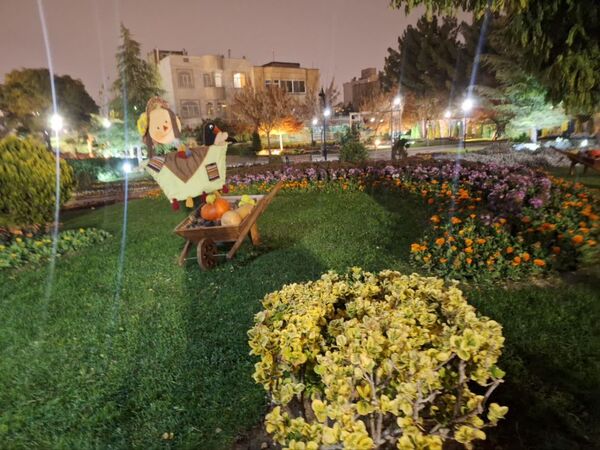 زیبایی باغ گل‌های مشهد در پاییز