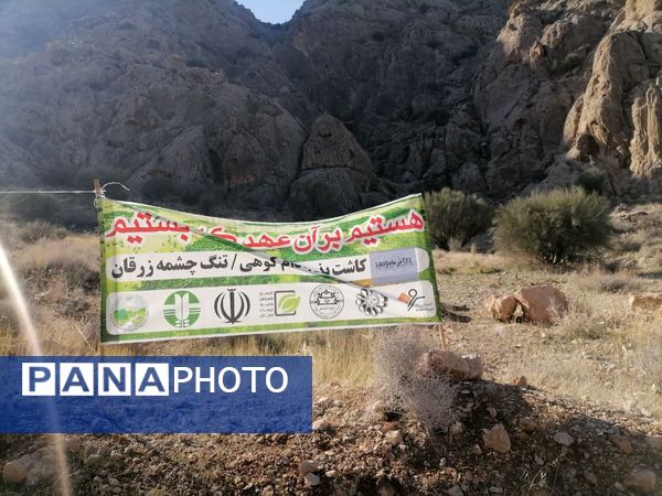 باهمت سبز، آبی شود آسمان شهرمان 