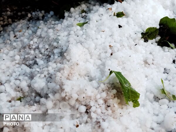 بارش رحمت الهی همراه با تگرگ در شهرستان نیشابور 