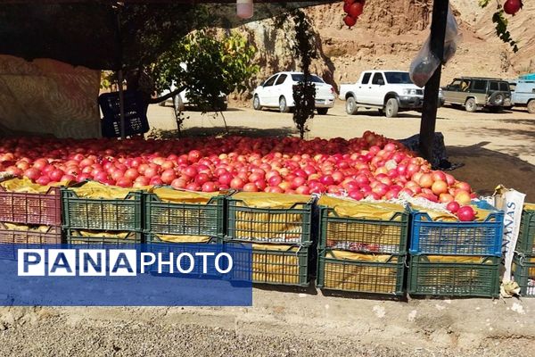 برگزاری جشنواره «یاقوت باران» در فیروزکوه