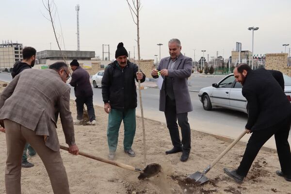 کاشت درخت به یاد شهدا در محمدشهر 