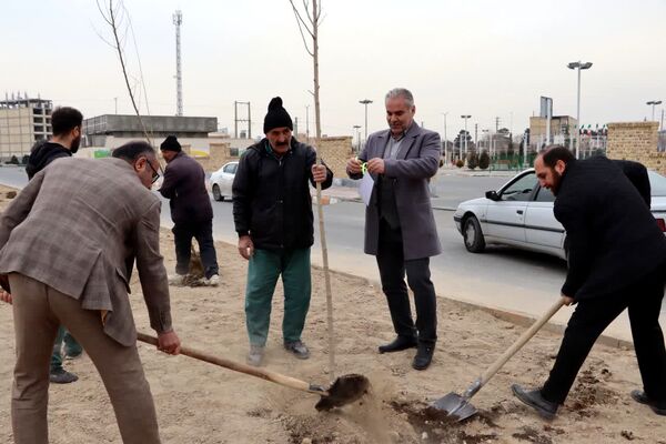 کاشت درخت به یاد شهدا در محمدشهر 