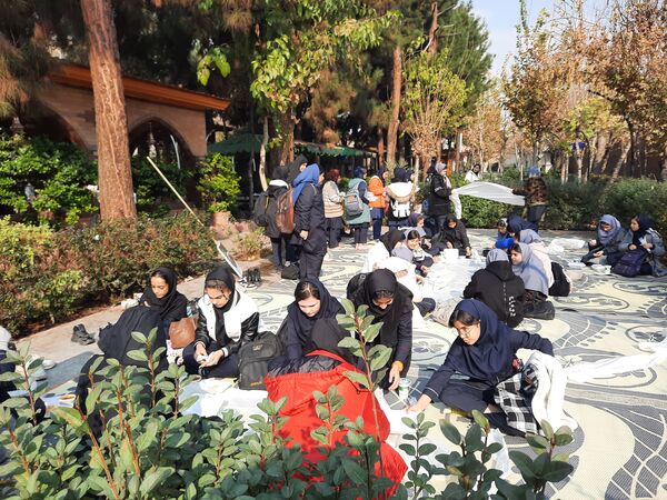 اردوی تمشک در تهران