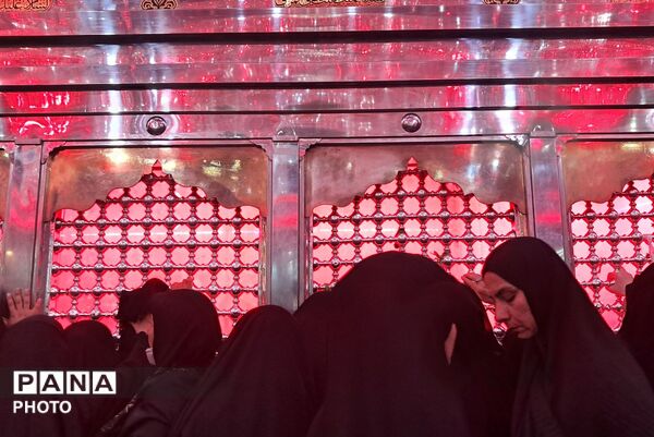 میلیون‌ها عاشق در مسیر کربلا