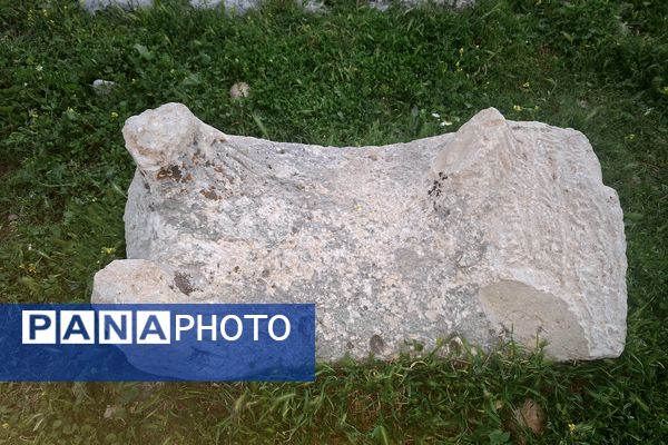 قبرستانی تاریخی و سرسبز به قدمت چند صد ساله در فارس