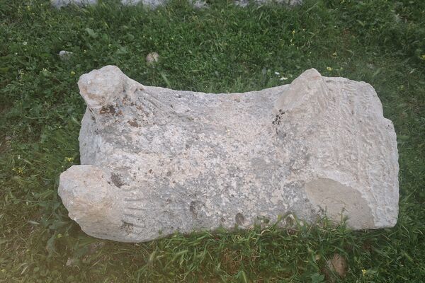 قبرستانی تاریخی و سرسبز به قدمت چند صد ساله در فارس