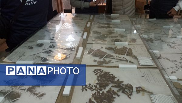 بازدید خبرنگاران پانا از موسسه گیاه شناسی کشور 
