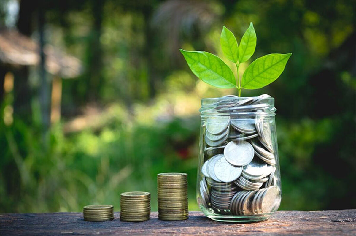 سواد مالی؛ سپر دفاعی نوجوانان در برابر الگوریتم‌های مصرف‌گرا/