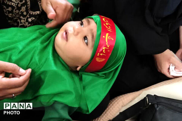 میعادگاه شیرخوارگان حسینی در نی‌ریز