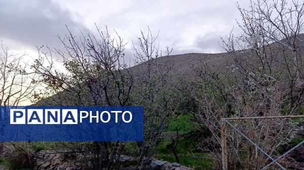 سیزده بدر باستانی در روستای زیارتی و سیاحتی سوقند 