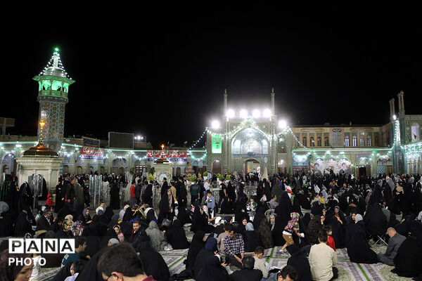 گل آرایی ضریح مطهر حضرت معصومه(س) در شب میلاد امام رضا(ع)