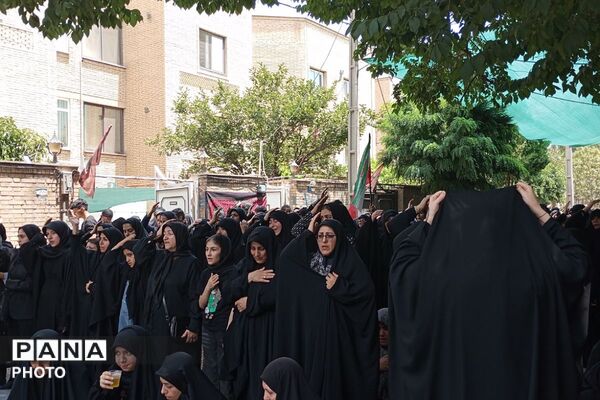 تاسوعای کهنز در سوگِ دلدادۀ حضرت ابوالفضل (ع)؛ یازده سال بی‌ شهید « مصطفی صدرزاده»